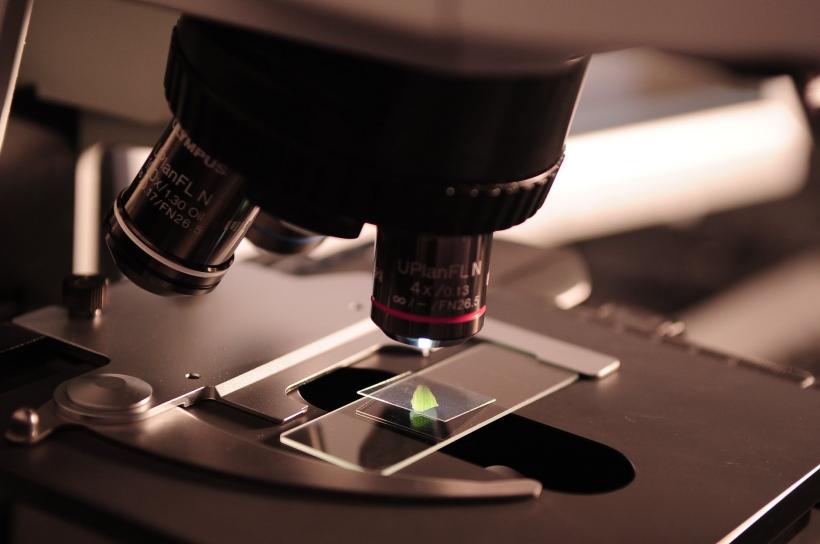 Trei studenți, uciși în laborator în timp ce făceau un experiment 127