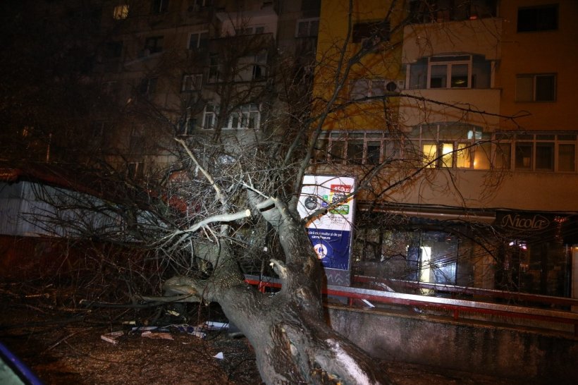 Un copac s-a prăbușit peste o femeie, în Capitală. Victima a fost transportată de urgență la spital