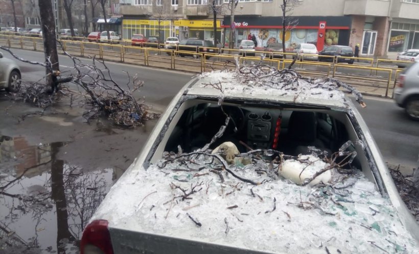 Ce pot face șoferii fără CASCO din București pentru a fi despăgubiți, după ce le-au fost distruse mașinile de copacii căzuți 