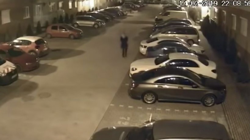 Era aproape de miezul nopții și era singură pe stradă în Oradea. La un moment dat, a intrat în prima mașină pe care a văzut-o și a făcut asta. Proprietarei nu i-a venit să creadă când a văzut imaginile - VIDEO
