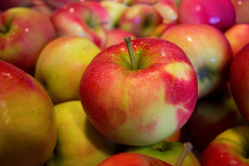 Caz revoltător în Suceava. Autoritățile au găsit peste 250 de kilograme de mere stricate care trebuiau oferite elevilor