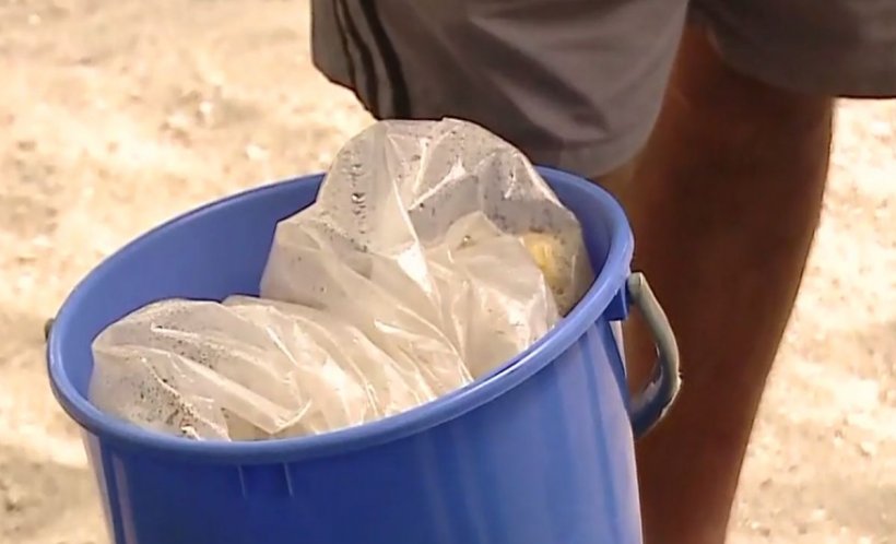 Porumb de la coşul de gunoi, vândut turiştilor de pe litoralul românesc - VIDEO