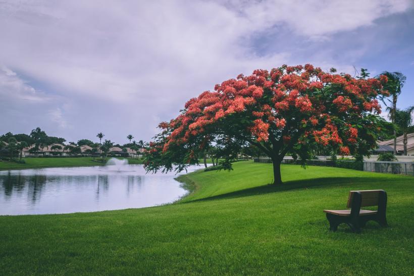 Un cuplu a mers în parc să-și plimbe cei trei căței. Patrupezii au intrat în apă să se răcorească. E de-a dreptul șocant ce a urmat apoi 127