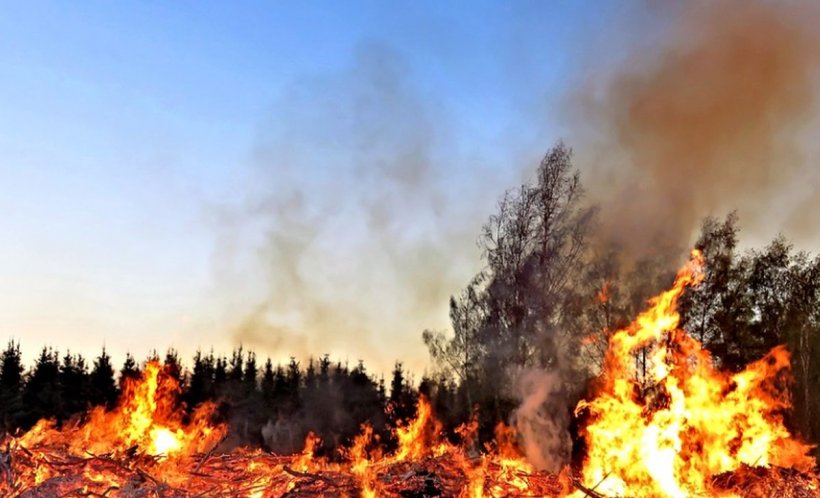 Atenţionare de călătorie de la MAE. E pericol de incendii în mai multe zone din Grecia