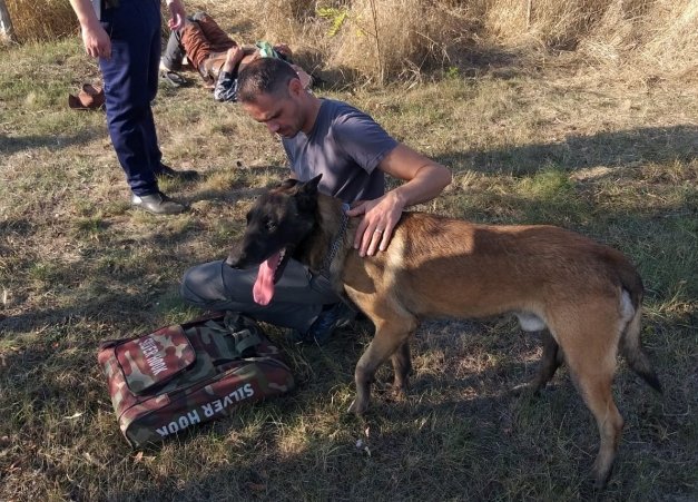 Axi, câinele polițist care a salvat viața unui bătrân din Argeș. Omul îndurase o noapte întreagă în frig, printre buruieni