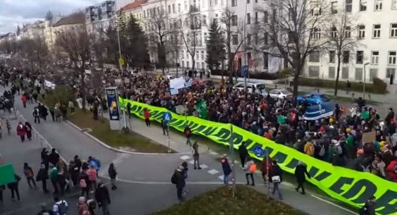Protest în fața Ministerului Mediului din Viena! Sute de oameni au ieșit în stradă pentru a protesta față de tăierea pădurilor din România