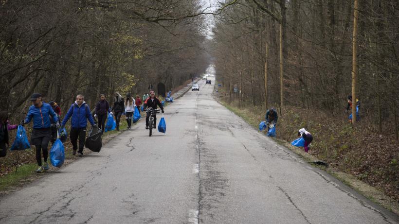 Hai să curățăm de gunoaie pădurile din România!