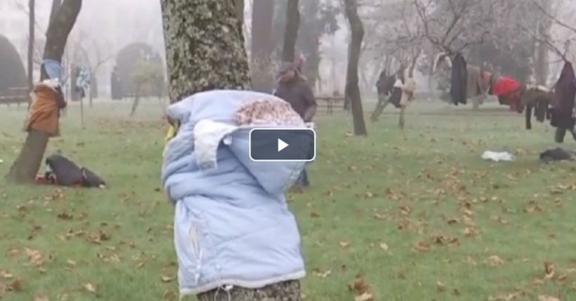 Haine pentru nevoiași și persoane fără adăpost, agățate de copaci în Parcul Central din Timișoara