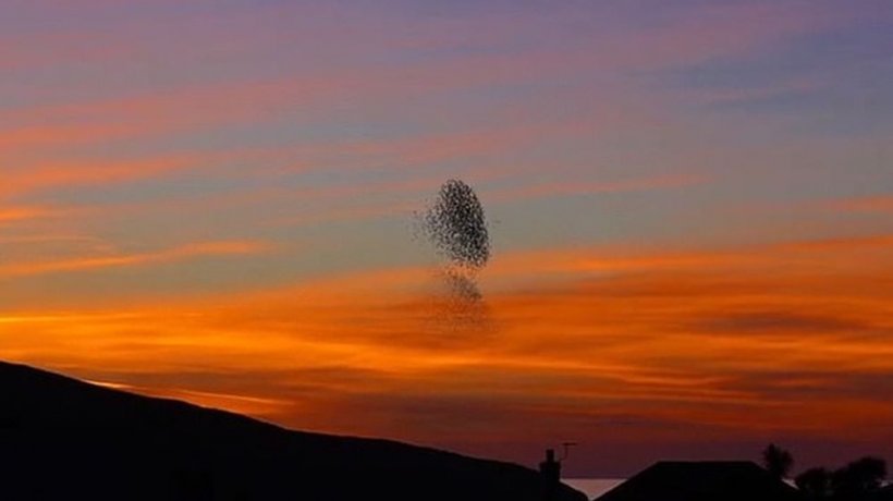 Priveau un stol de păsări când a apărut ceva uluitor pe cer, spre asfințit. Acum, imaginile filmate de ei sunt noul viral pe Internet - VIDEO