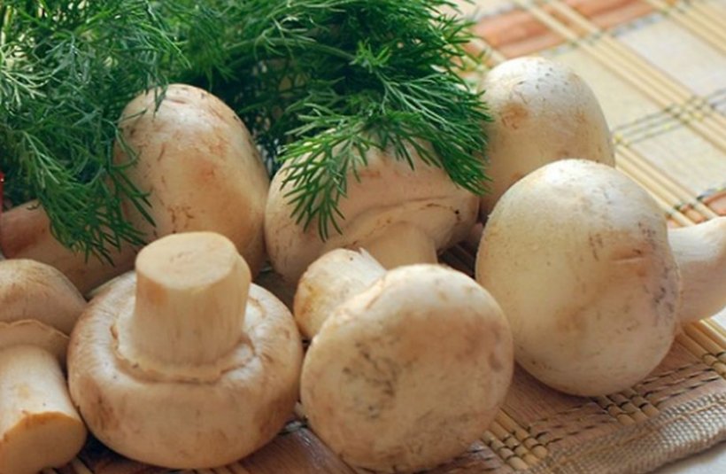 DIETA cu ciuperci. Scapi rapid de grăsimea de pe coapse și abdomen 