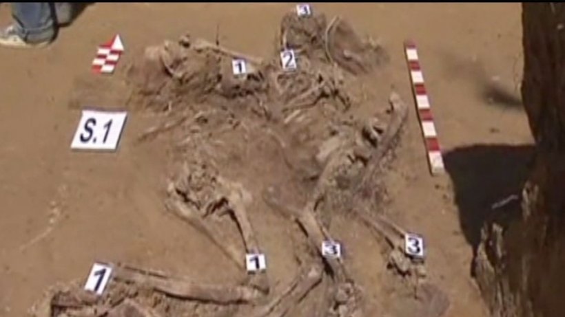 Osemintele a sute de victime ale comunismului, găsite de arheologi - VIDEO