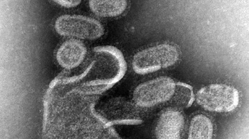 Epidemia de gripă uitată de toți, însă care a ucis 46.000 de români, majoritatea copii şi tineri
