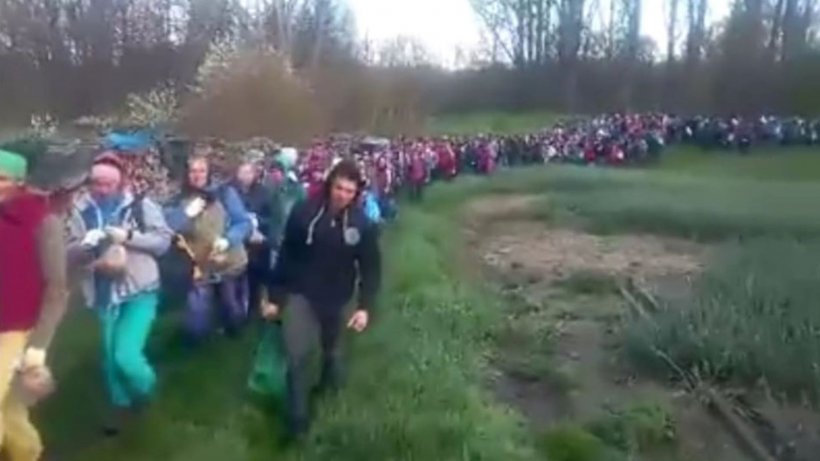Mii de români la cules de ceapă verde în Germania, imagini surprinse în anul 2016