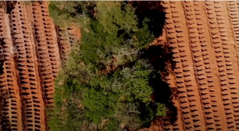 Imagini șocante suprinse de dronă. Mii de morminte săpate pentru victimele răpuse de coronavirus