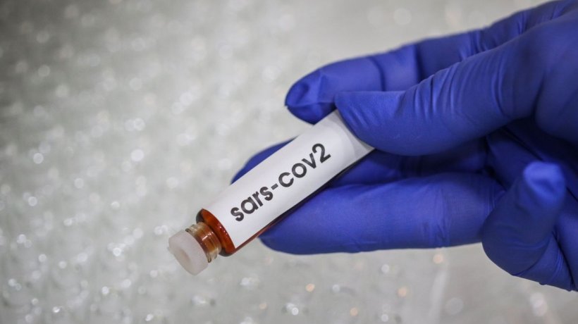 Studiu: 20% din populația Sucevei a fost imunizată natural pentru noul coronavirus