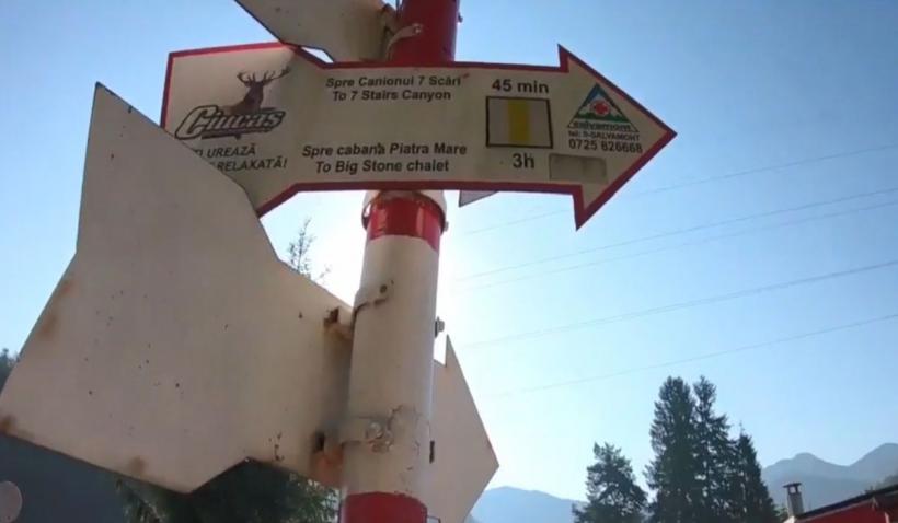 Obiectiv turistic ascuns în țara noastră: fundul de mare unde au locuit dinozaurii