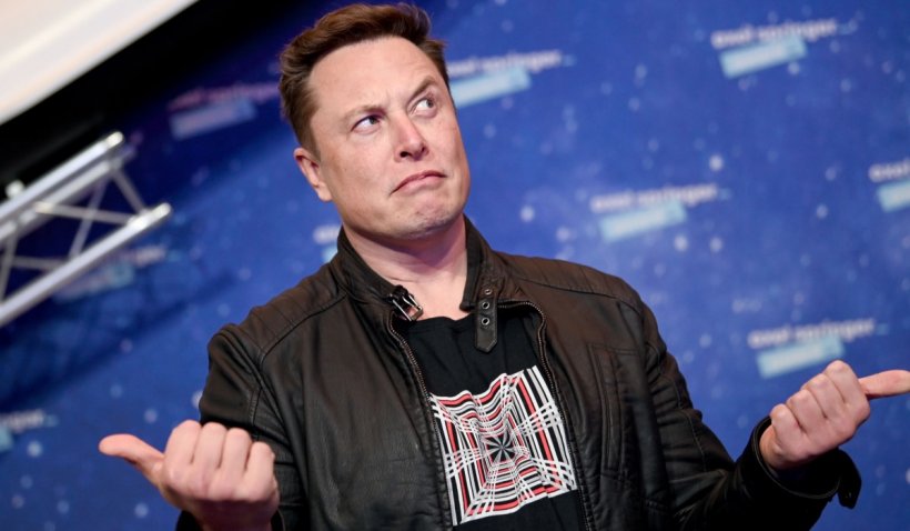 Elon Musk nu își poate construi gigafabrica Tesla în Germania din cauza unor șerpi care hibernează