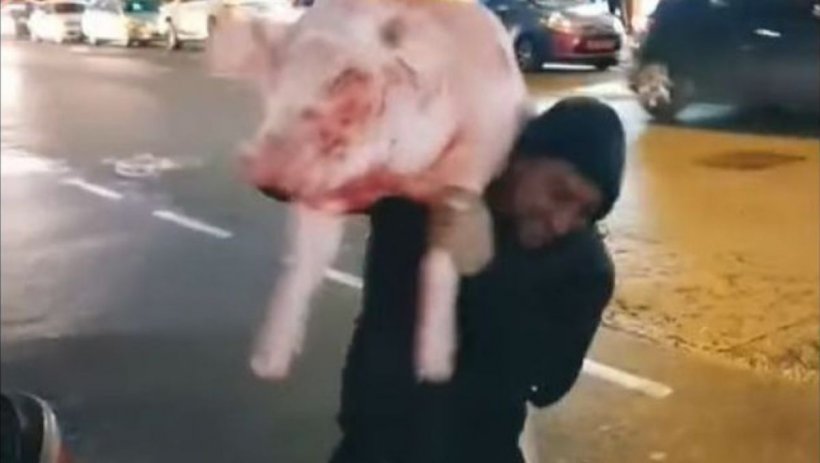 Trei români au făcut spectacol în Marea Britanie! Cu porcul tăiat, pe străzile Londrei
