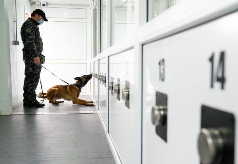 Câinii Poliției sunt antrenați la Sibiu să detecteze persoanele infectate cu COVID-19. Exercițiu demonstrativ - VIDEO