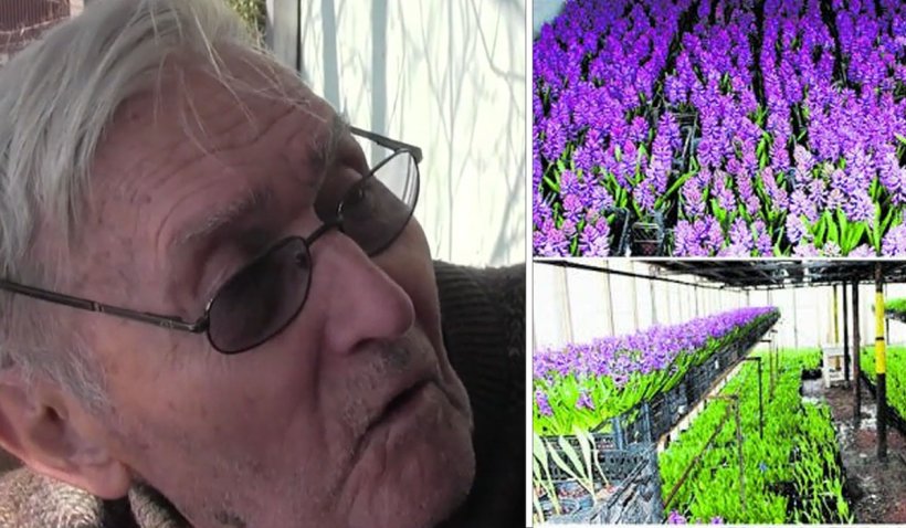 Cel mai bătrân florar din Europa trăieşte în Arad. Are 93 de ani şi un vis măreţ