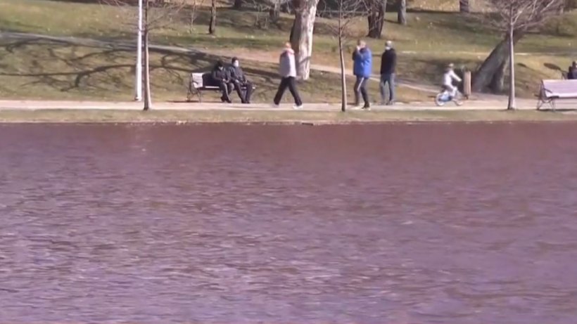 Fenomen bizar în Parcul IOR din Capitală! Apa lacului s-a făcut roșie