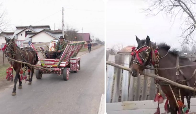O căruță tunată face furori în Bărăgan. Fițe cu radio, claxon și semnalizare | VIDEO
