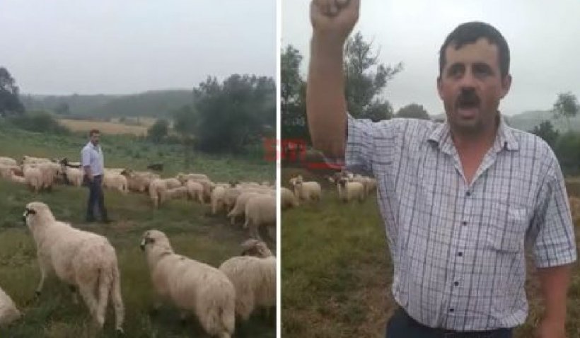 Apelul disperat al unui fermier din Satu Mare rămas fără subvenţii: "Nu mai pot trăi în stresul asta. Prefer să mor"