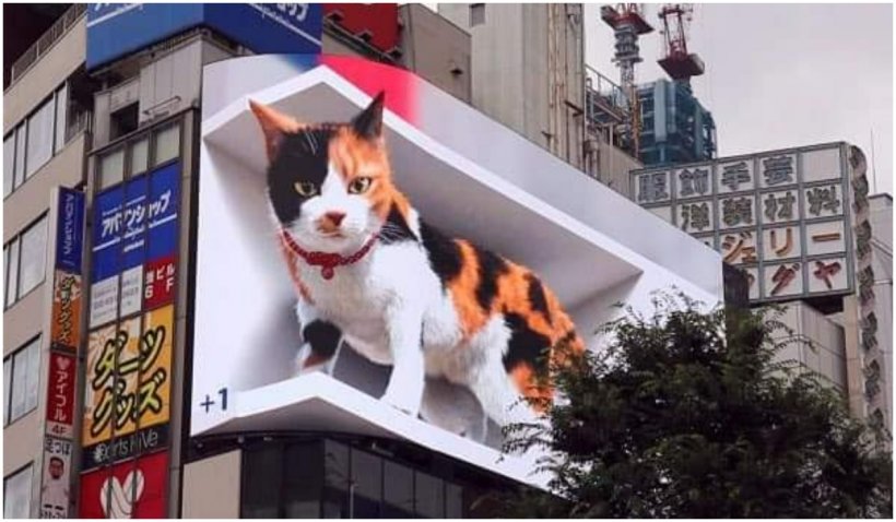 O pisică 3D uriașă prinde viață și toarce deasupra unei gări din Tokyo. Imaginile au devenit virale