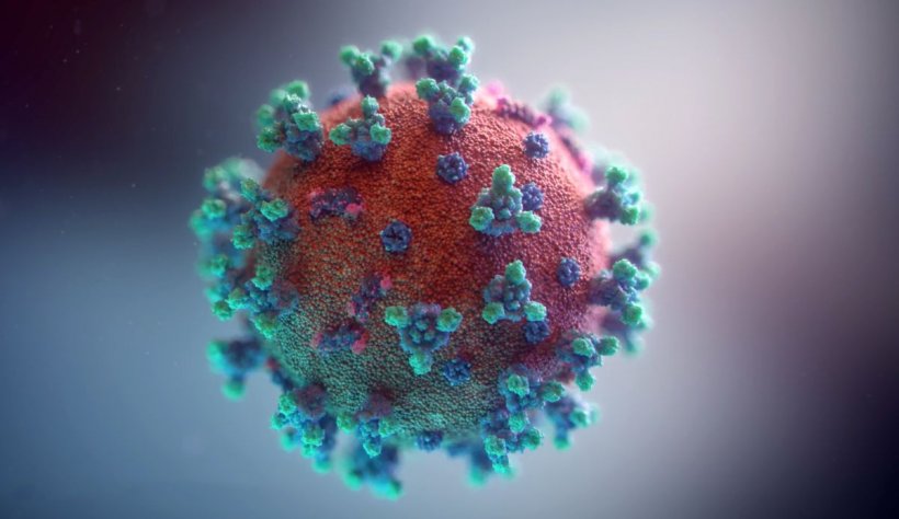 Prima țară europeană care anunță un caz de infectare cu noua variantă COVID B.1.1.529