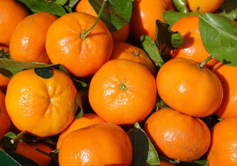 Care e diferenţa între mandarine și clementine. Puţini ştiu asta!