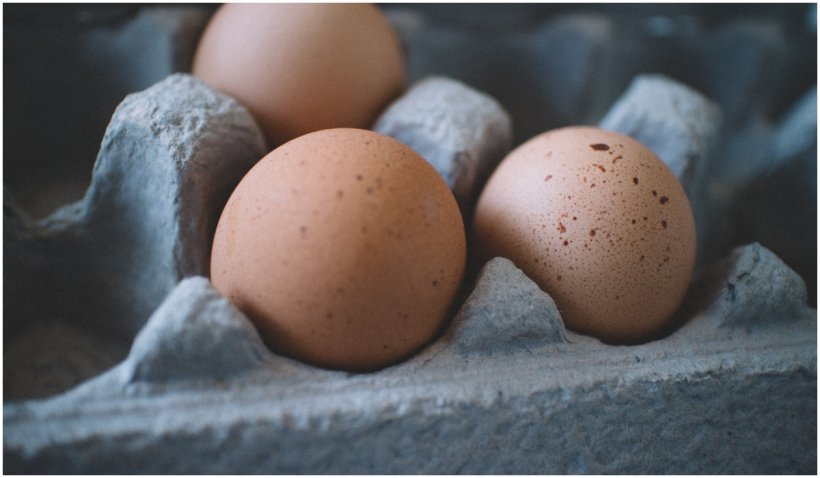 Doi români au furat 93 de ouă dintr-un automat din Austria
