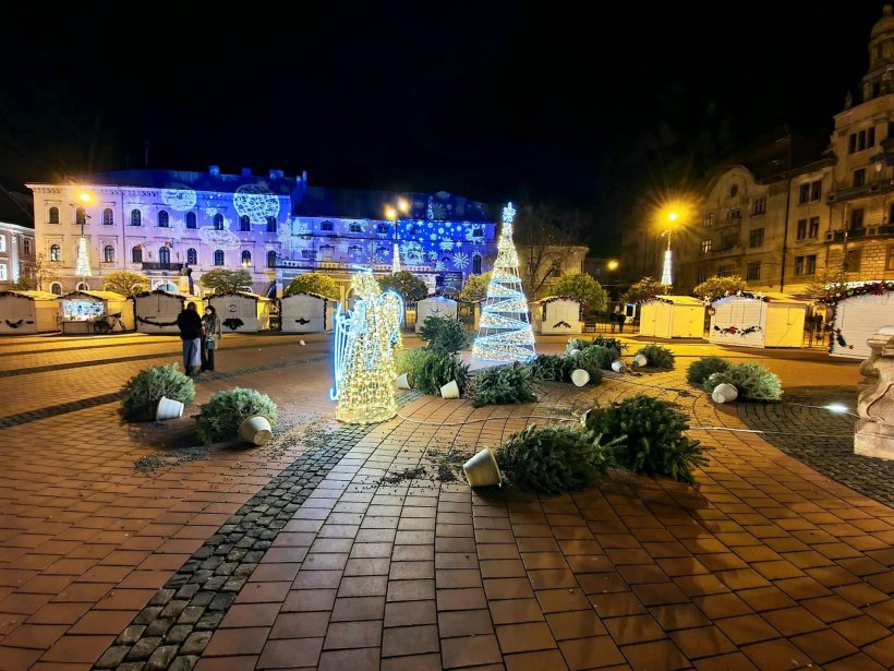 Toți brazii de la Târgul de Crăciun din Timișoara, căzuți la pământ, fotografiați de trecători