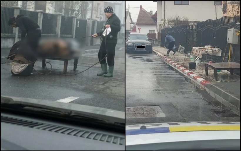 "Doar în România poți vedea așa ceva!". Cum a tăiat o familie din Târgu Jiu porcul în mijlocul străzii 
