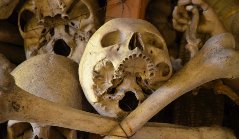 Fiul unei românce din Italia, obligat să stea ani de zile printre schelete și cranii. Ce a pățit tatăl abuziv