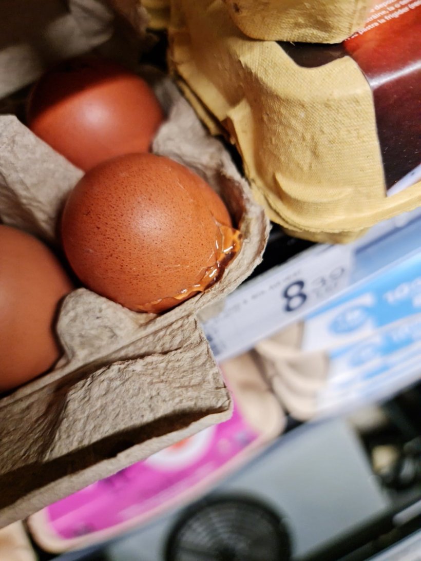 Ouă aproape expirate, sparte sau depozitate pe rafturi ruginite. ANPC a dat amenzi de 380.000 lei 761644