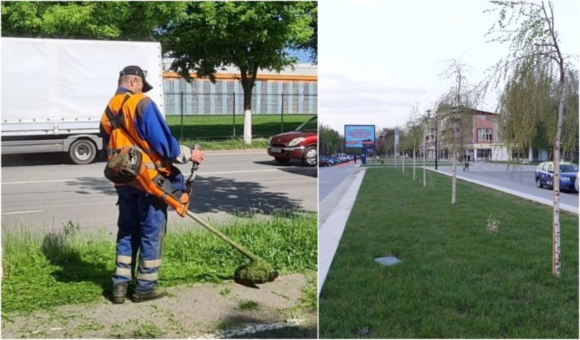 Salariul pe care nimeni nu vrea să taie iarba în Hunedoara. "Nu e spor de periculozitate şi de zgomot. Ajutorul social vine fără muncă"