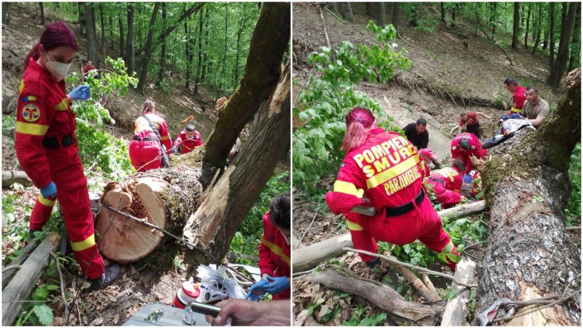 Tragedie într-o pădure din Sibiu! Un bărbat şi-a pierdut viaţa, după ce copacul pe care îl tăia, a căzut peste el