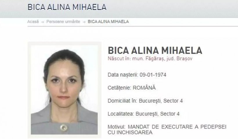 Avocatul Alinei Bica, despre cererea de extrădare: "Autorităţile din România nu au trimis toate documentele"