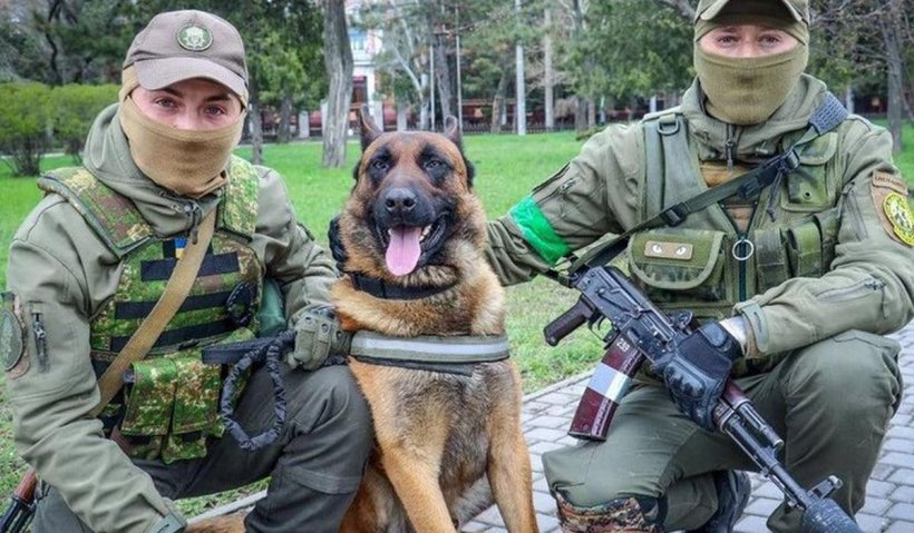 Greșeala rușilor care l-au abandonat pe Bucks, un câine militar. Ce va face patrupedul, după ce a fost recuperat de ucraineni