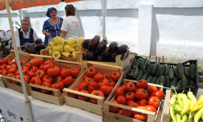 Ministerul Agriculturii a făcut primele plăţi pentru programul "Tomata". Petre Daea îndeamnă fermierii să-şi verifice conturile