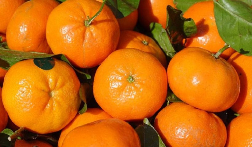 Secretul cojilor de la mandarine. Motivele pentru care nu ar trebui să fie niciodată aruncate la gunoi