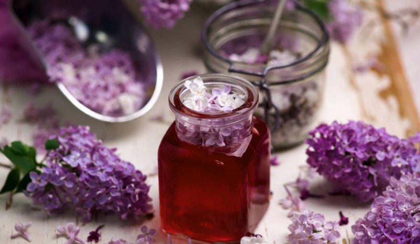 Siropul aromat din flori de liliac | Are o mulțime de beneficii pentru sănătate. Rețeta simplă de preparare acasă