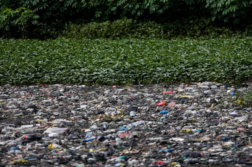 Galerie Foto - O poveste despre nepăsare: cum au ajuns 19 tone de ...