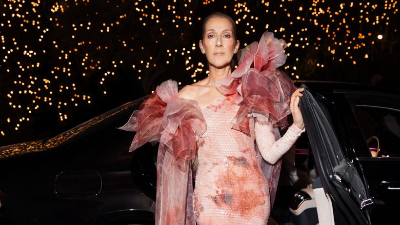 Celine Dion ar putea cânta în finala Eurovision și a transmis un mesaj emoționant. ''A fost un moment care mi-a schimbat viața''