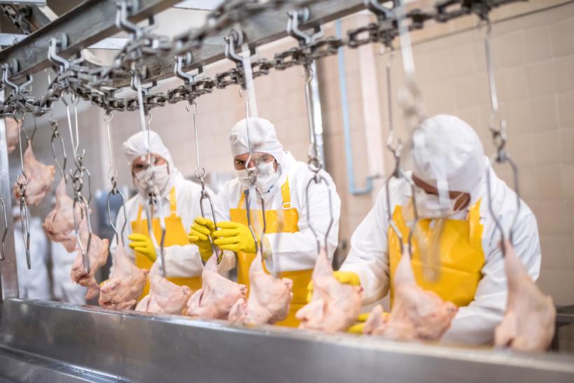 O nouă fabrică modernă de procesare a cărnii pune România pe harta exporturilor. Proiectul valorează aproximativ 80 de milioane de euro