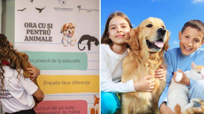 "Ora cu şi pentru animale" ar putea deveni materie opţională în şcolile din toată România. Autorităţile din Ilfov pregătesc documentele