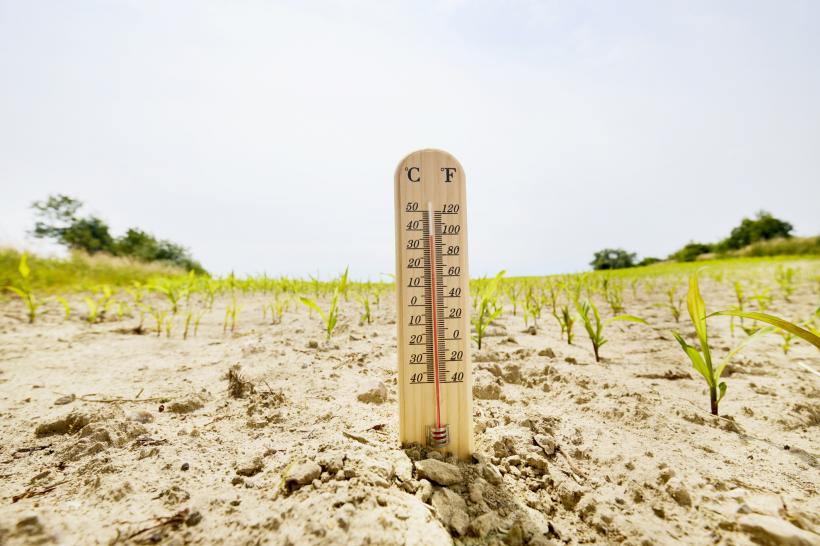 Avertizare meteo de la ANM: urmează două zile de caniculă. Cod galben în 26 de județe și în București