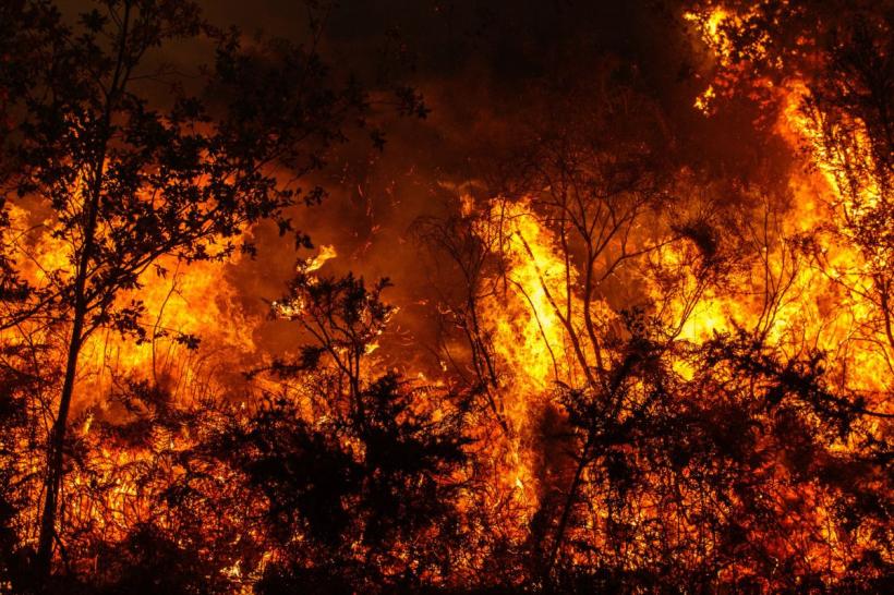 Spania e devastată de incendii. Un om a murit în apropiere de Madrid. Mii de turiști au fost evacuați dintr-o stațiune din Cadiz