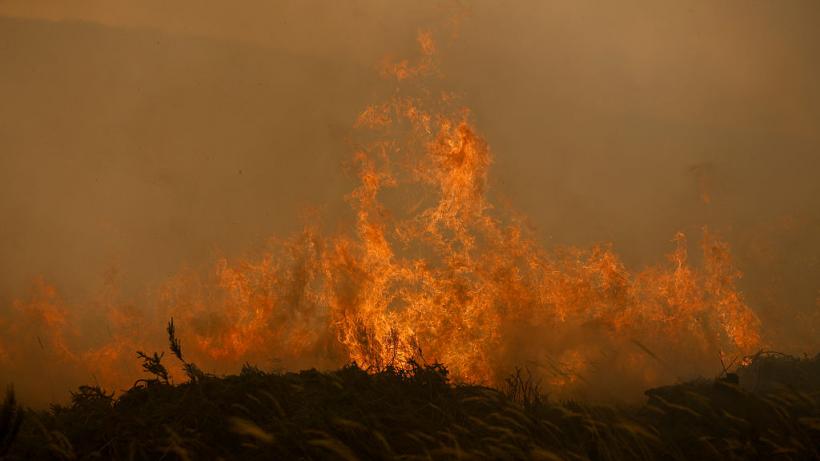 Incendiile uriaşe din Spania continuă să facă ragavii. "Ne aşteaptă ore dificile", avertizează premierul Sánchez
