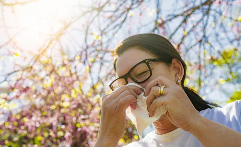 Contaminarea cu polen de ambrozie a atins niveluri periculoase în România. Specialiști: E bine să nu ieșiți din casă în acest interval